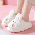 Slippers- Women's Warm Cotton House Slippers Female Indoor Plus Fur